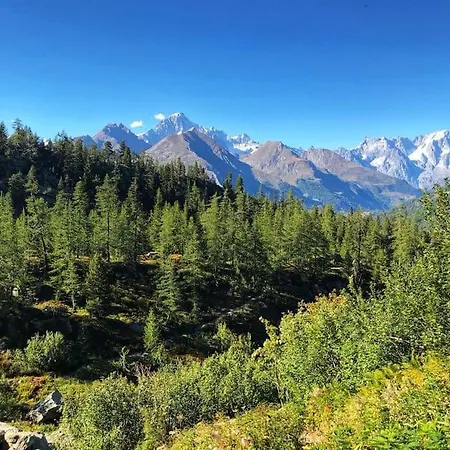 Ampio Giardino Adiacente Piste Sci Апартаменты *