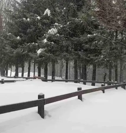 Ampio Giardino Adiacente Piste Sci Апартаменты Ла-Тюйль