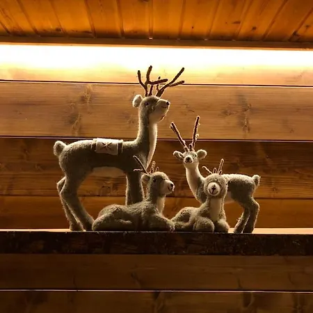 Ampio Giardino Adiacente Piste Sci Апартаменты *