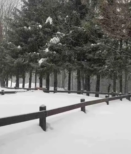 Ampio Giardino Adiacente Piste Sci Appartement La Thuile